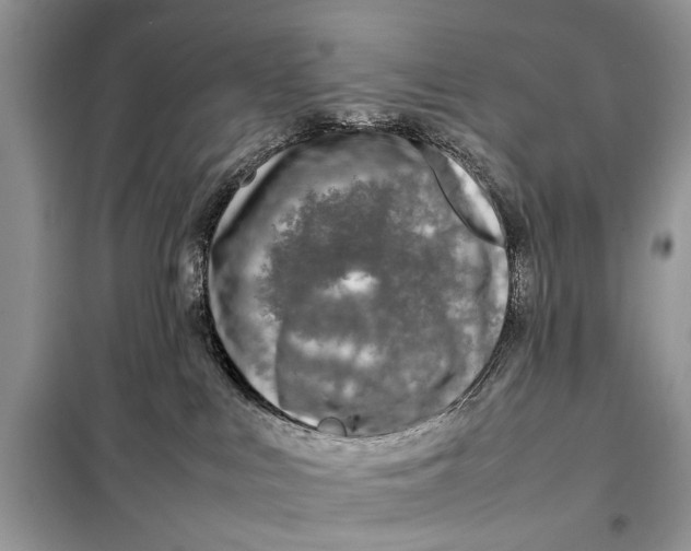 X0000098020043200804181214
