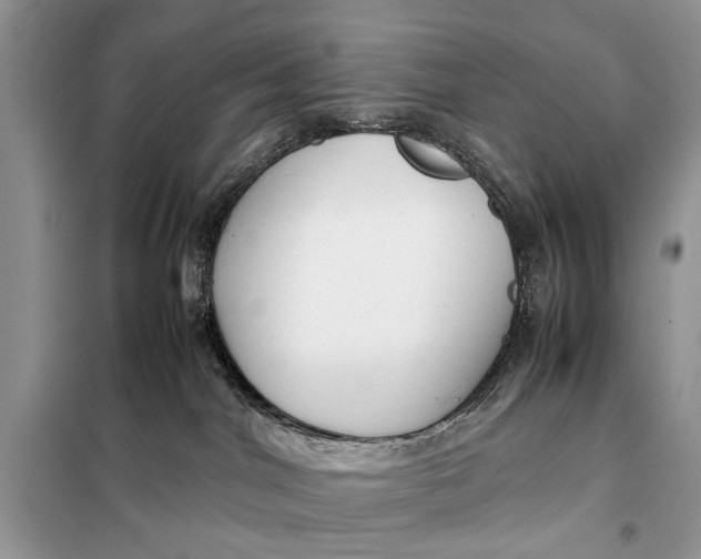 X0000098020044200804181214