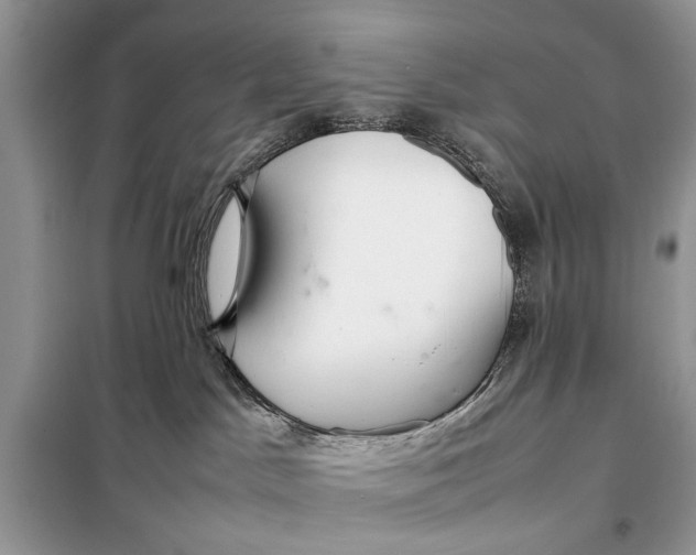 X0000098020045200804181214