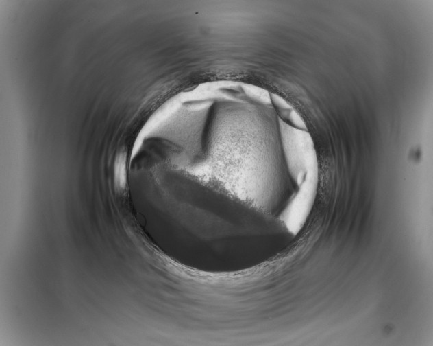 X0000098020046200804181214