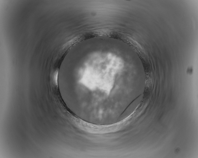 X0000098020047200804181214