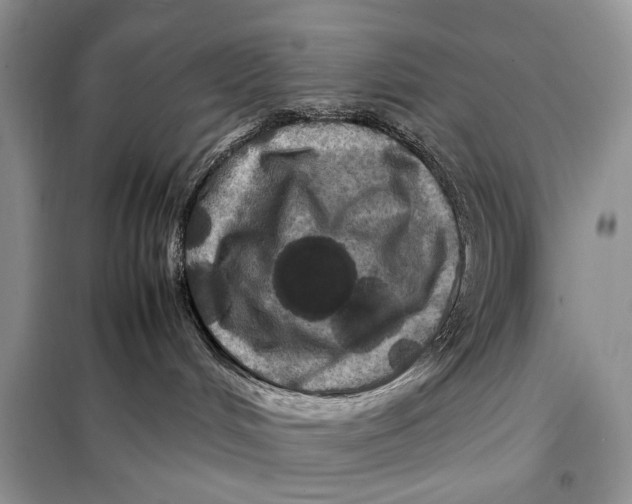 X0000098020048200804181214