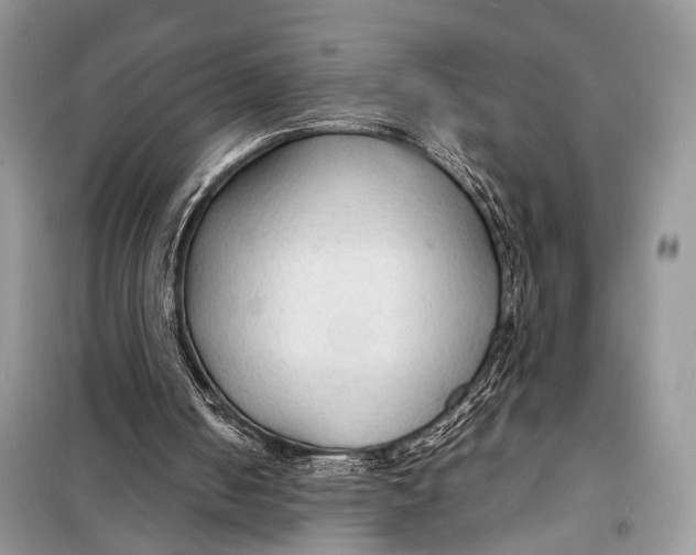 X0000098020050200804181213