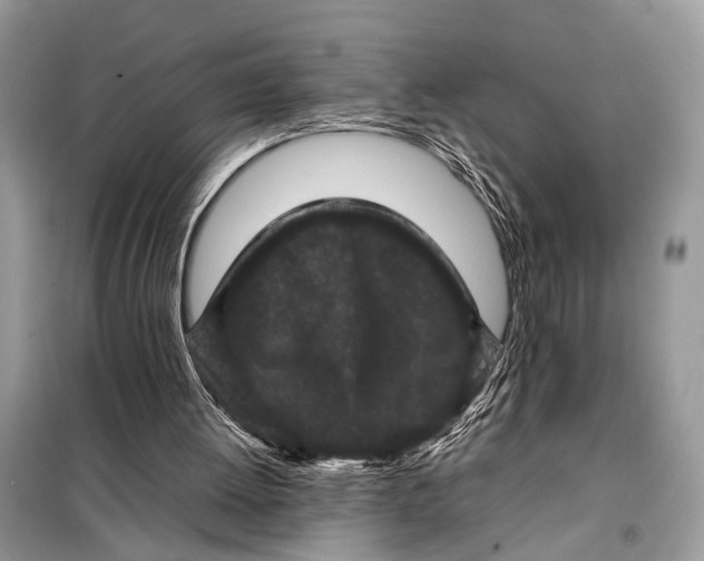 X0000098020052200804181213