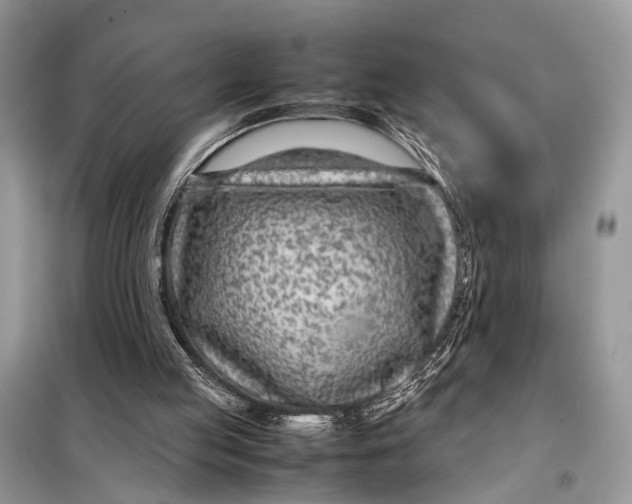 X0000098020053200804181213