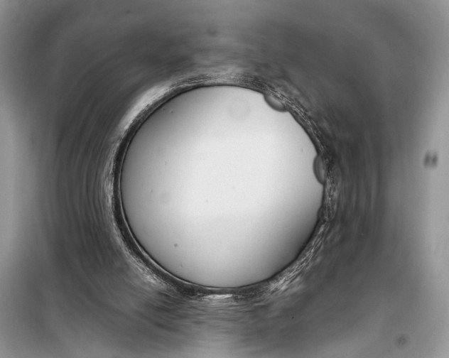 X0000098020054200804181213