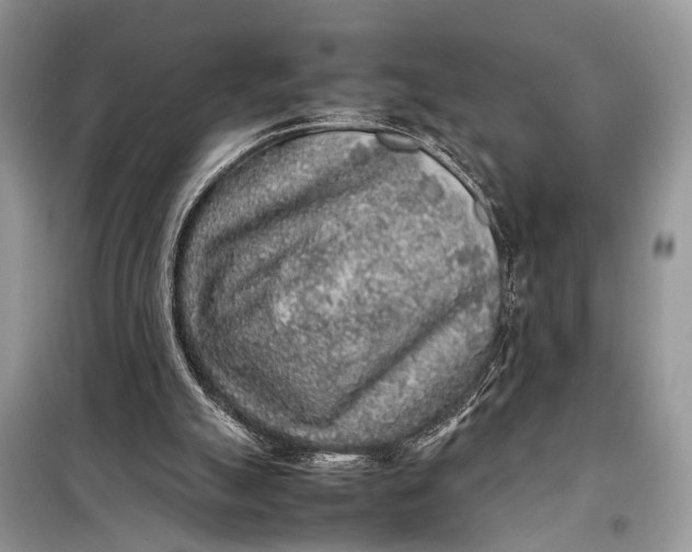 X0000098020055200804181213