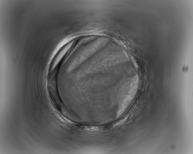 X0000098020056200804181213