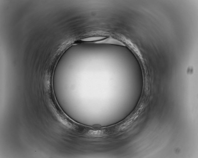 X0000098020057200804181213