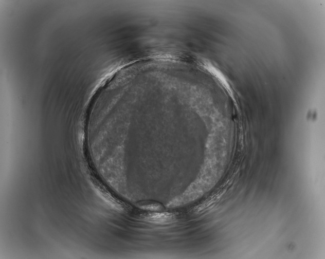 X0000098020059200804181213