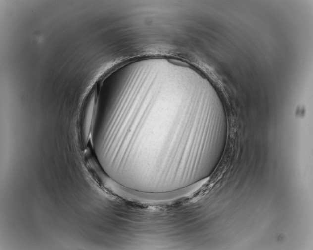 X0000098020060200804181213