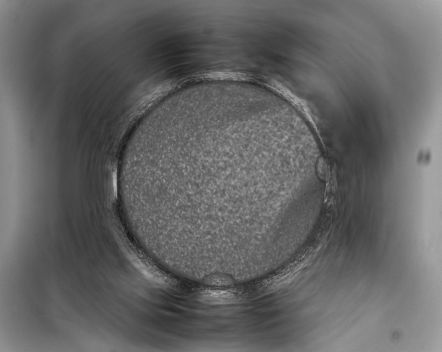 X0000098020061200804181213