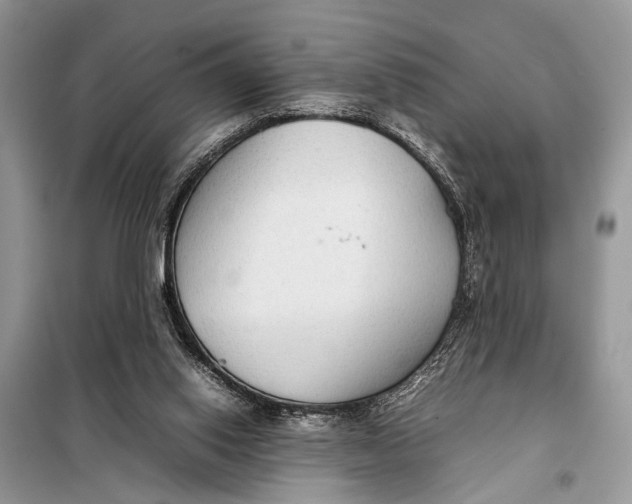 X0000098020062200804181213