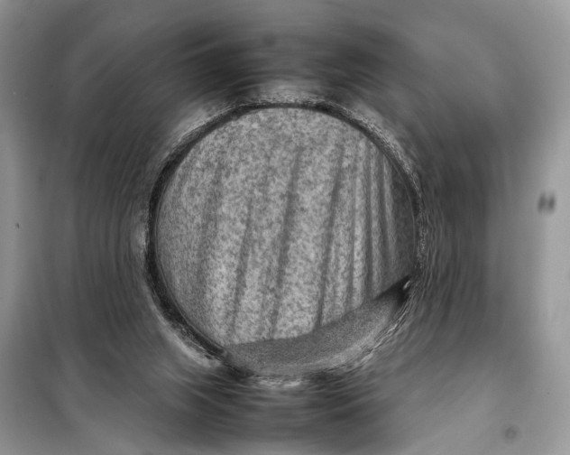 X0000098020063200804181213