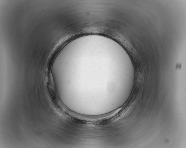 X0000098020064200804181213
