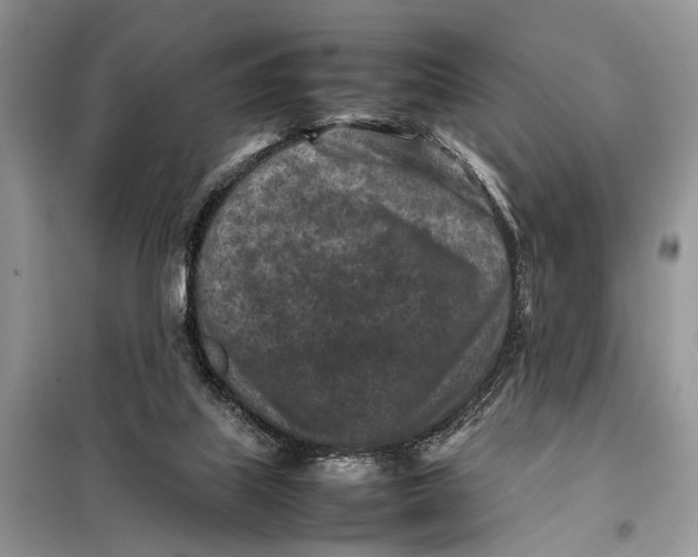 X0000098020067200804181213