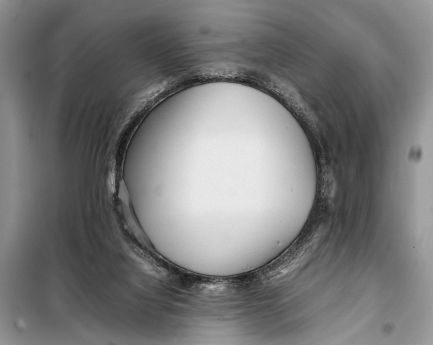 X0000098020068200804181213