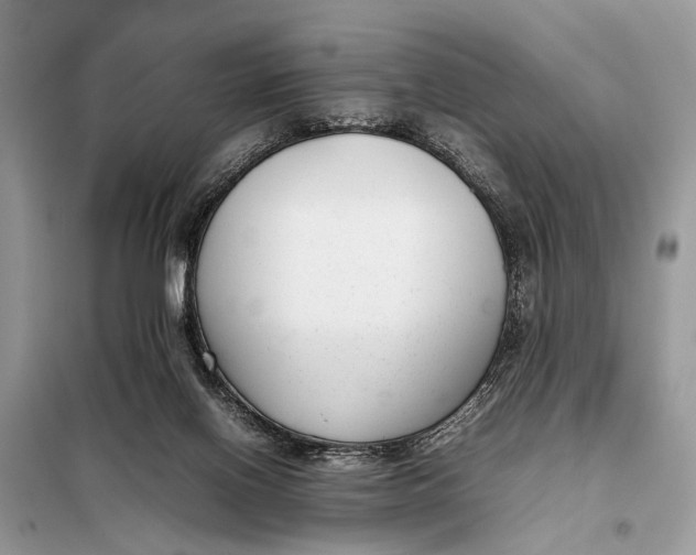 X0000098020070200804181213