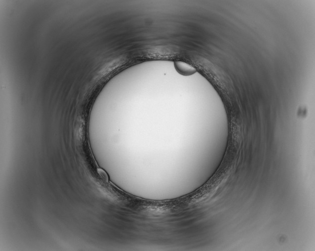 X0000098020071200804181213