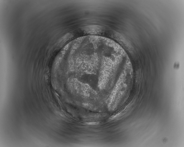 X0000098020073200804181213