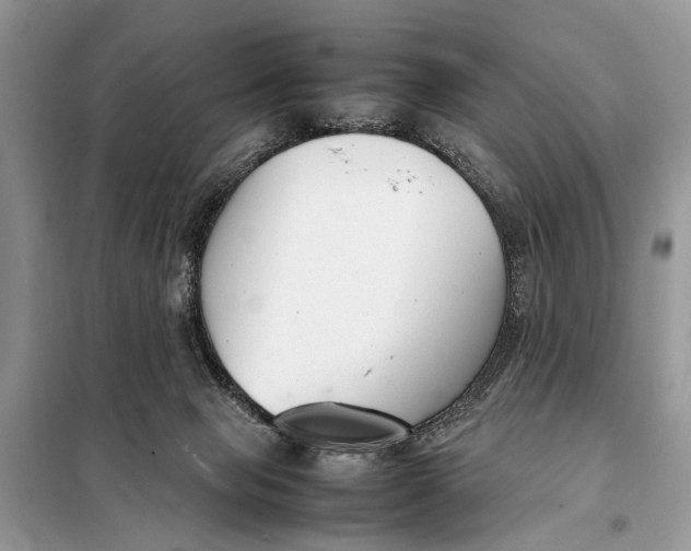 X0000098020077200804181214