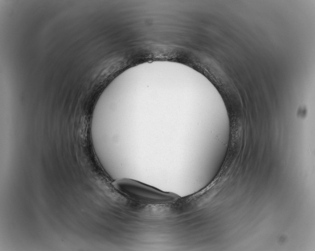 X0000098020078200804181214