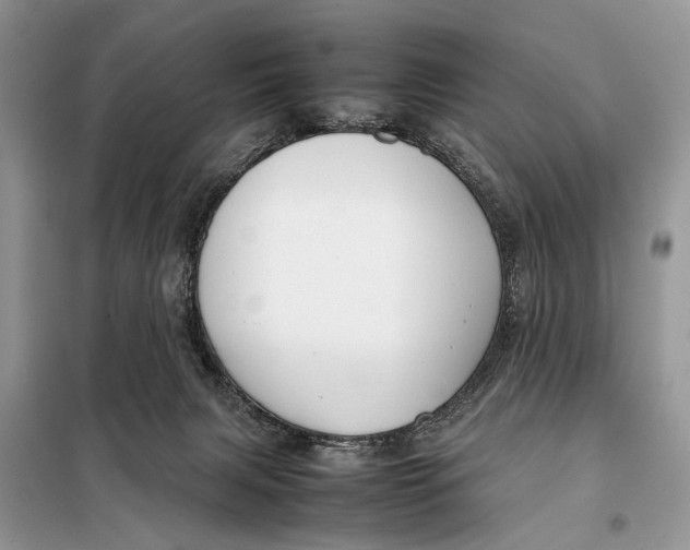 X0000098020079200804181214