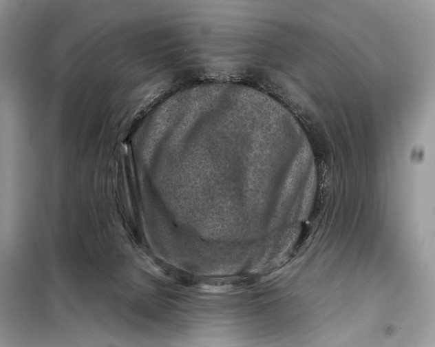 X0000098020080200804181214