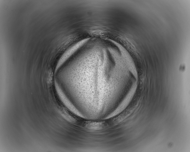 X0000098020081200804181214