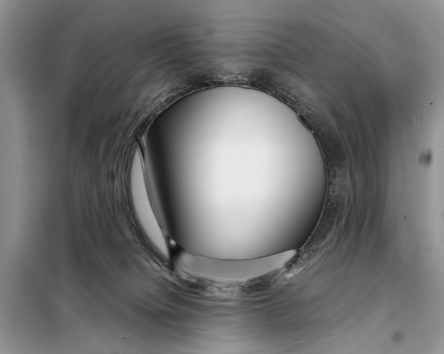 X0000098020084200804181214