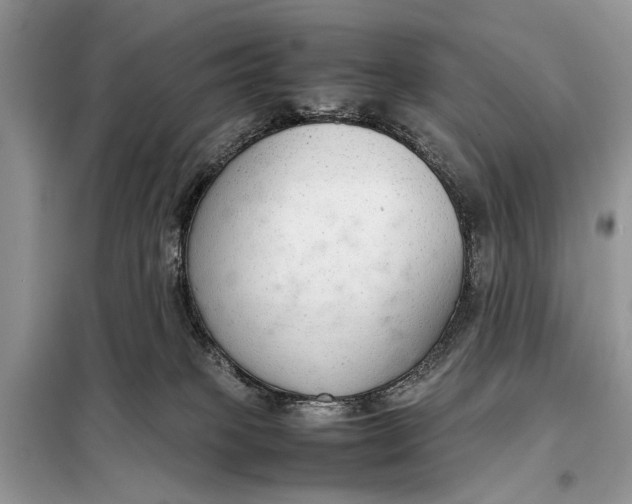 X0000098020085200804181214