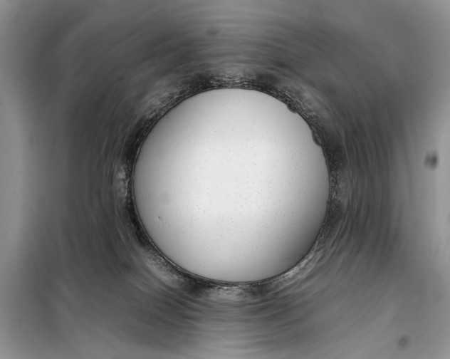 X0000098020086200804181214
