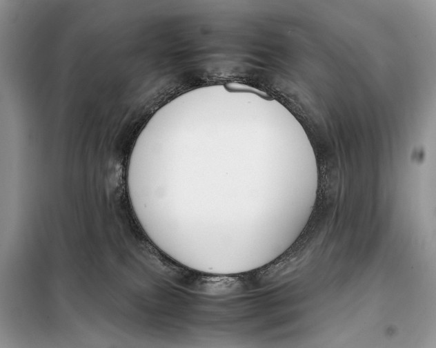 X0000098020087200804181214
