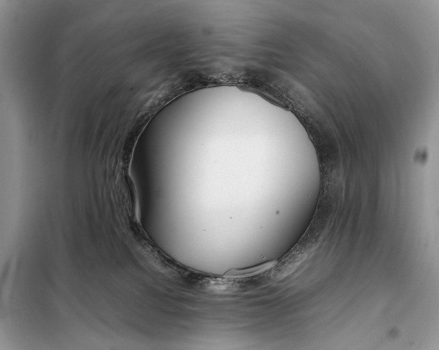 X0000098020088200804181214