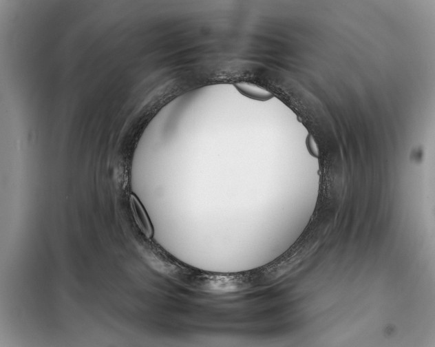 X0000098020091200804181214