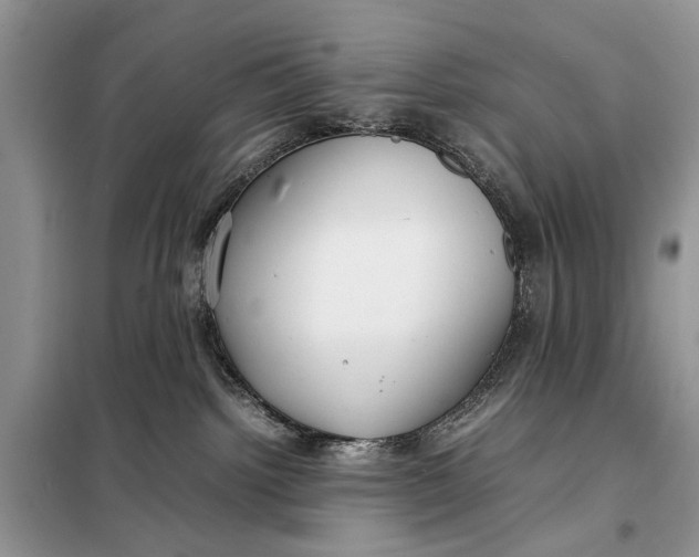 X0000098020092200804181214