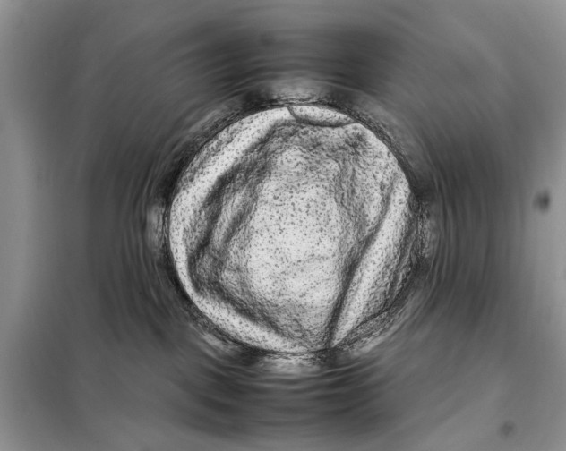 X0000098020093200804181214