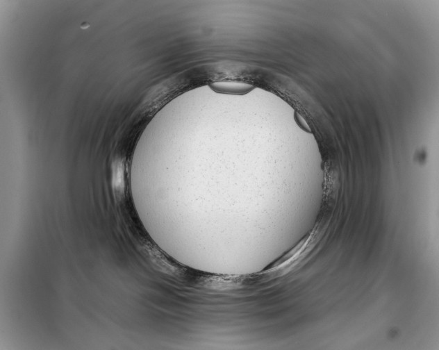 X0000098020094200804181214