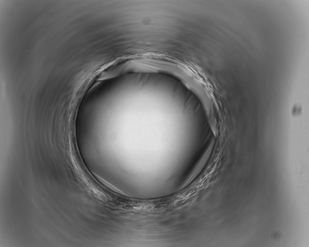 X0000098020097200804181213