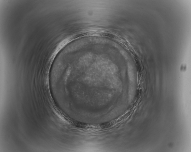 X0000098020099200804181213