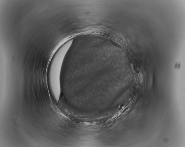X0000098020100200804181213