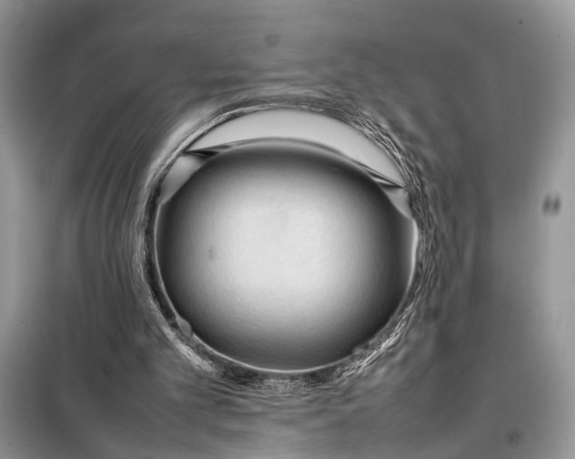 X0000098020101200804181213