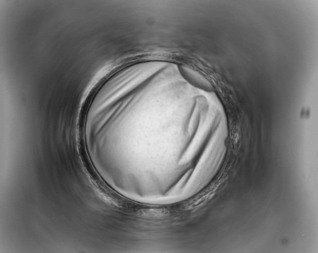 X0000098020102200804181213