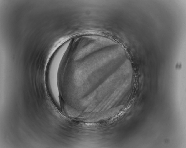 X0000098020104200804181213