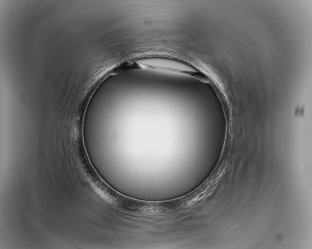 X0000098020105200804181213