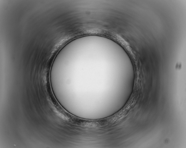X0000098020106200804181213