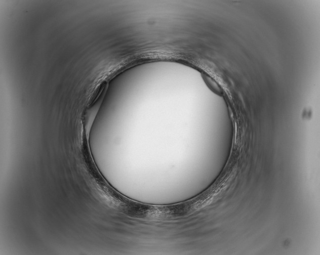 X0000098020109200804181213