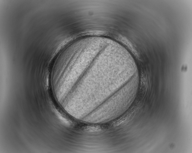 X0000098020110200804181213