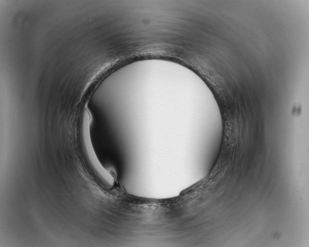 X0000098020112200804181213
