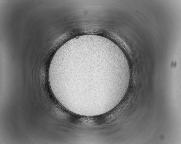 X0000098020113200804181213
